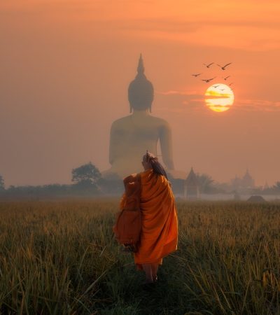 Big Buddha at Wat Muang Angthong Thailand