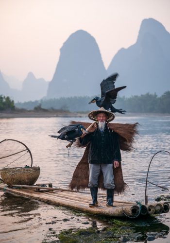 Guilin fisherman Fisherman of Guilin Li River and Karst mountains during the blue hour of dawn Guangxi China