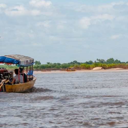 Irrawaddy dolphins Kratie Cambodia Irrawaddy dolphins Kratie Cambodia