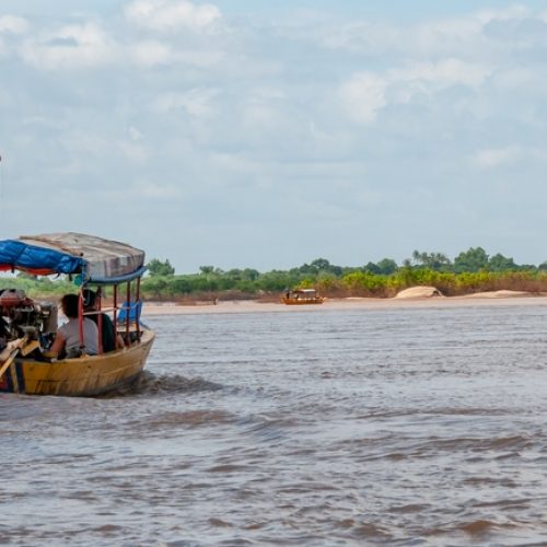 Irrawaddy dolphins Kratie Cambodia