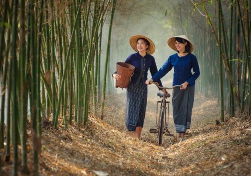 Laos country Women farmer bamboo forest