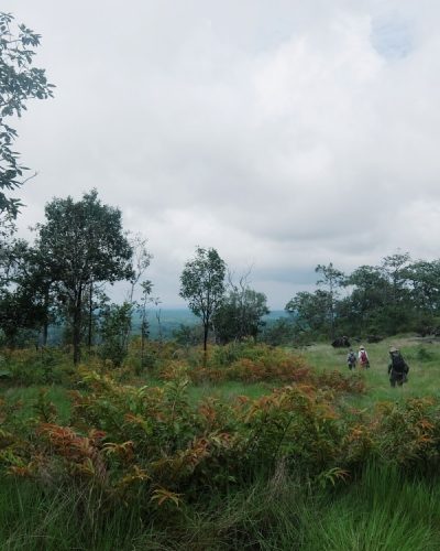 Virachey National Park Cambodia